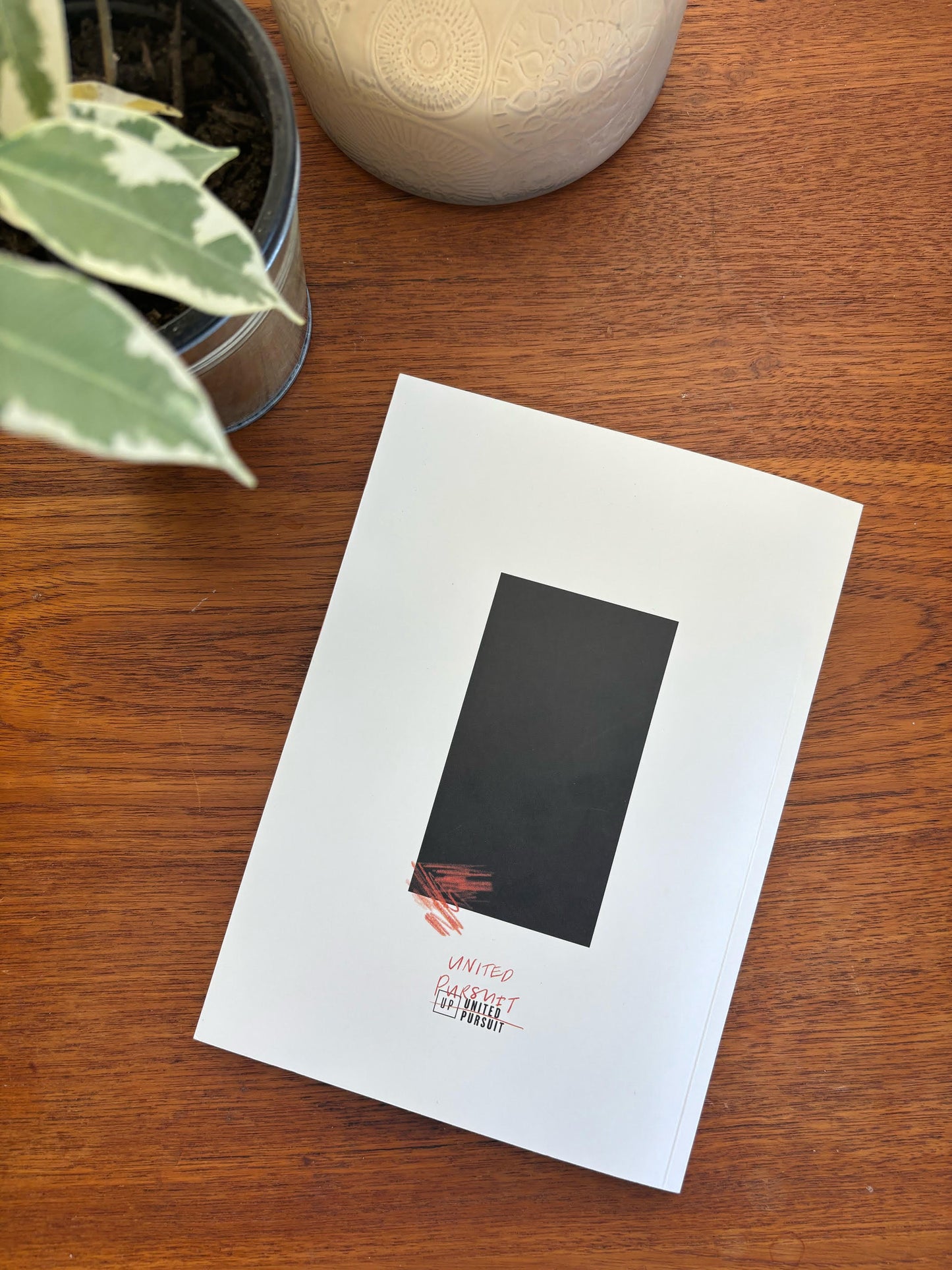 What Could We Become? (Softcover)