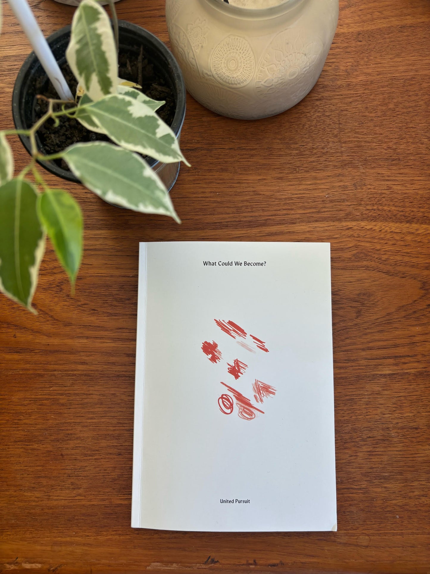 What Could We Become? (Softcover)