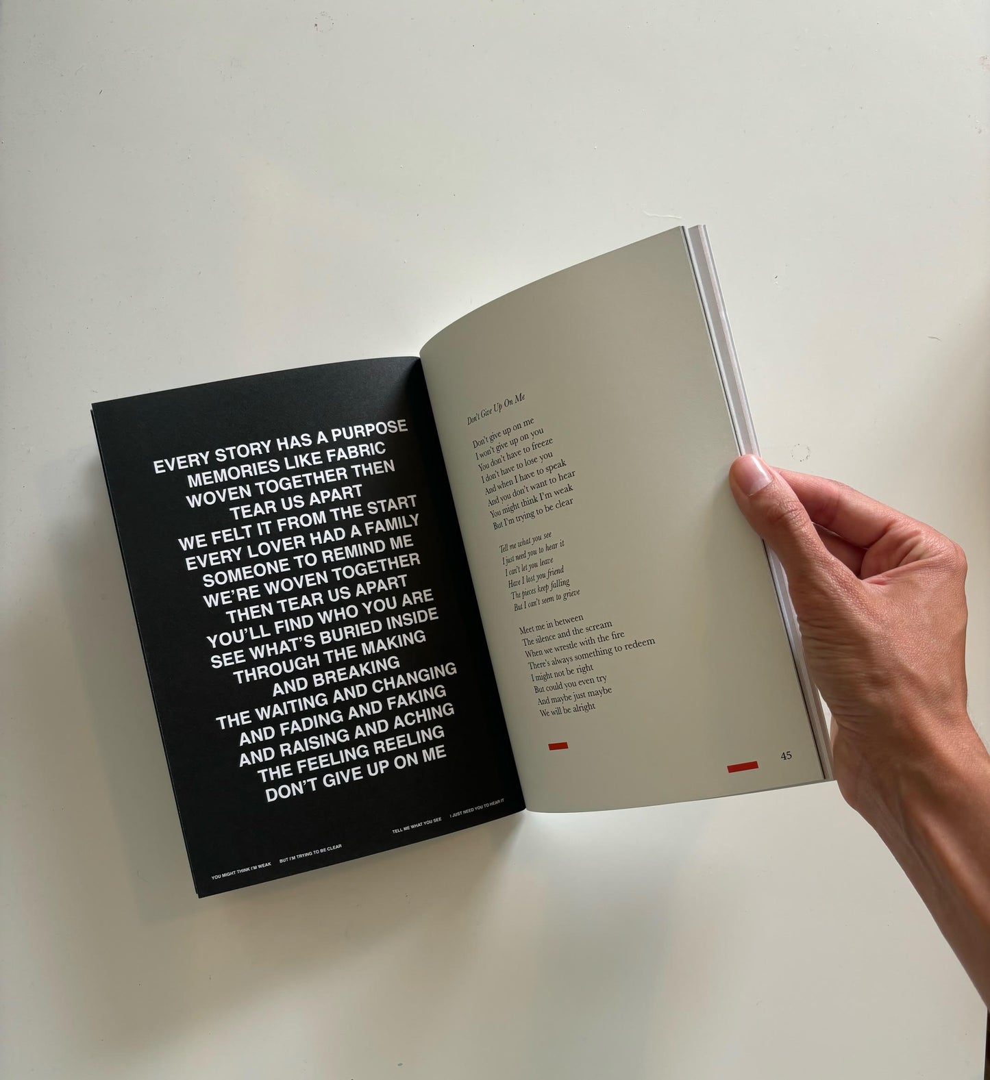 What Could We Become? (Softcover)