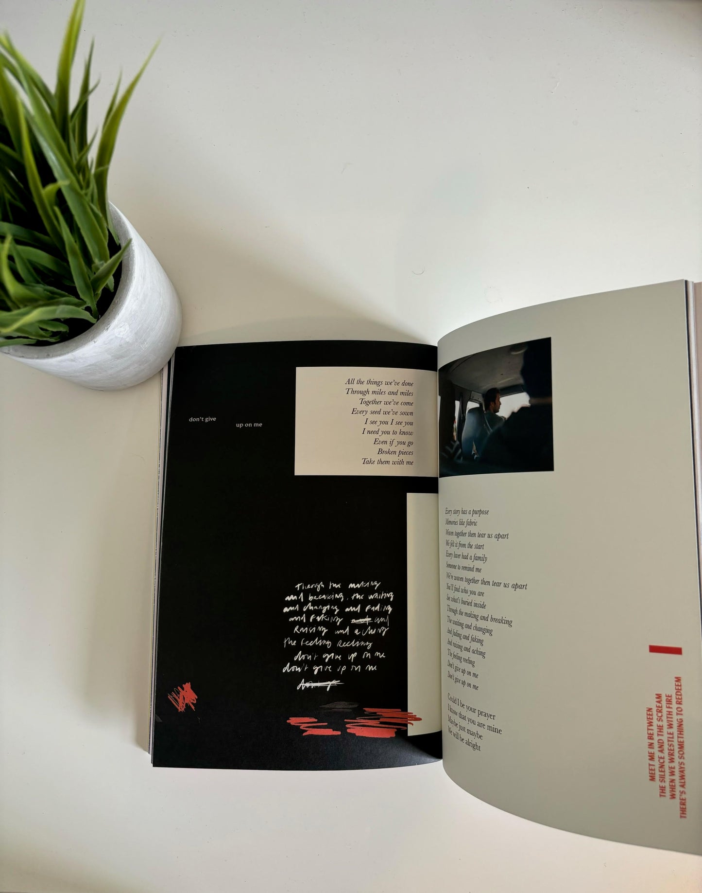 What Could We Become? (Softcover)